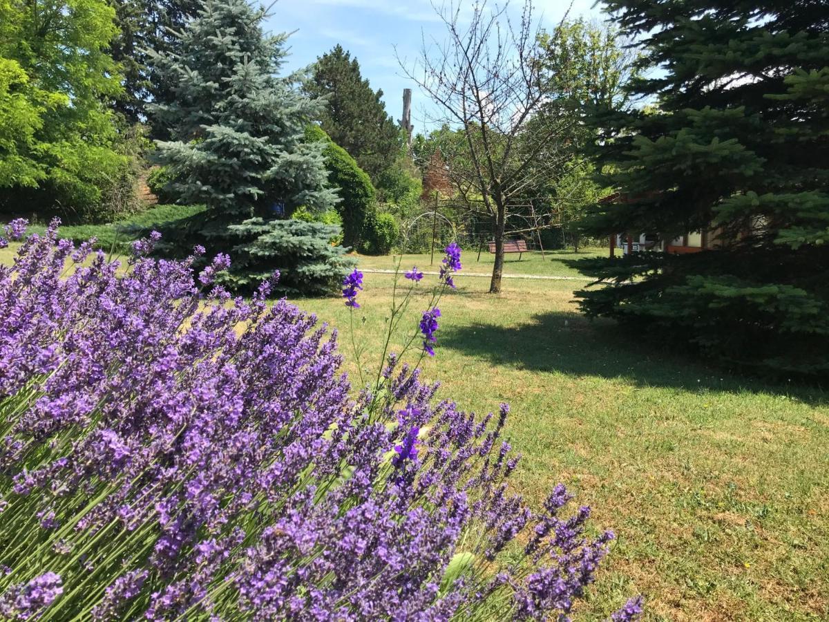Апартаменти Balaton Garden Балатондьєрек Екстер'єр фото